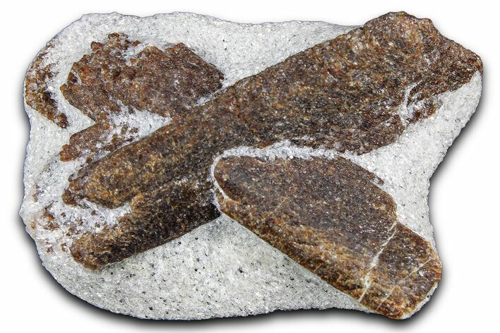 Twinned Staurolite Cross In Glittering Mica-Schist - Russia #380640